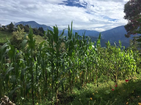 Hostería Las Orquídeas Inn in Tungurahua, Ecuador