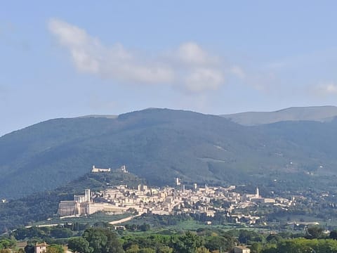 Nearby landmark, Natural landscape, View (from property/room), City view, Mountain view