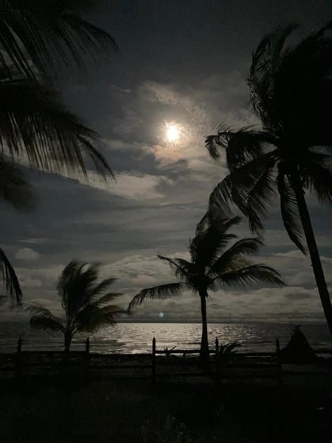 Night, Beach, Sea view