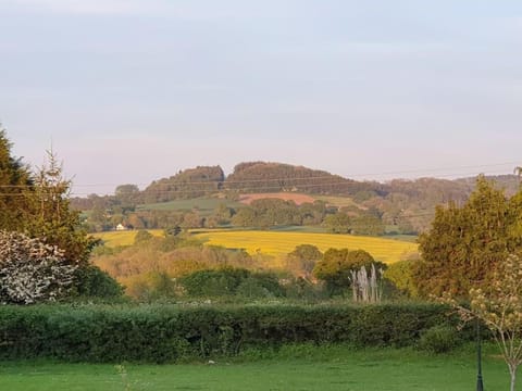 Country House - Pool Jacuzzi - Perfect for Celebrations, Work People House in Taunton Deane