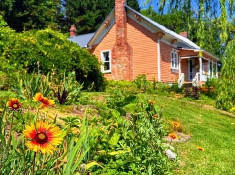 Property building, Natural landscape, Garden