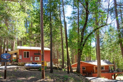 Riverfront Retreat House in Sierra Nevada