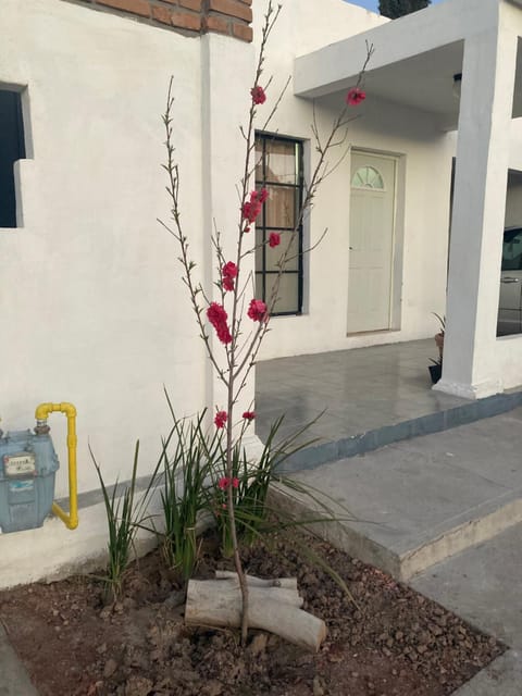 Departamento volcán el pinacate Apartment in Ciudad Juarez