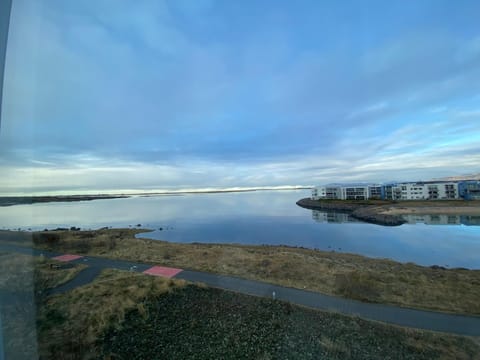 Beautiful and Luxurious Oceanfront Apartment Apartment in Kopavogur