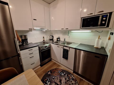 Kitchen or kitchenette, dishwasher, oven, stove