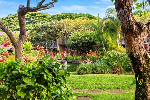 Napili Shores E135 House in Kapalua