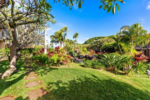 Napili Shores E135 House in Kapalua