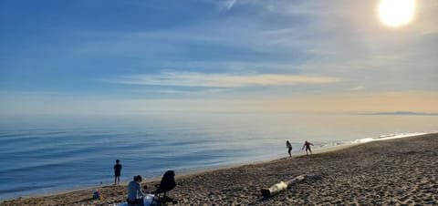 Day, Natural landscape, Beach