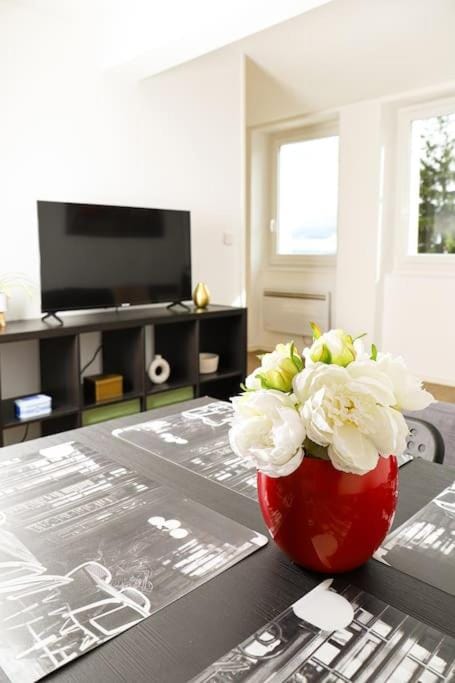 LA DEUCHE - Charmant Studio rénové avec vue Apartment in Clermont-Ferrand