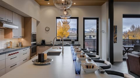 Butterfly Lofts Grande House in Steamboat Springs