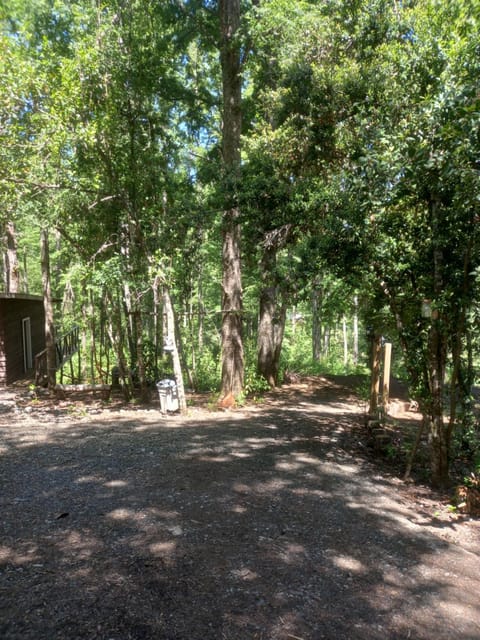 Roble laurel House in Pucon