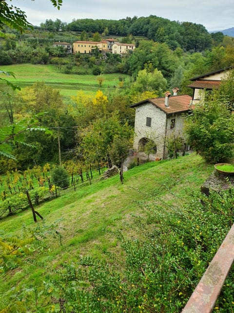 Il Casale di Ernestina Apartment in Province of Massa and Carrara