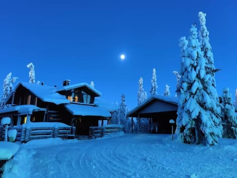 Property building, Night, Winter