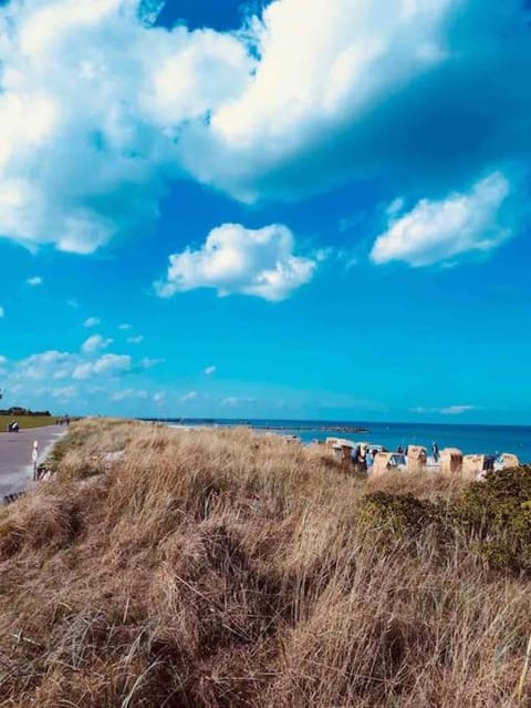 Nearby landmark, Natural landscape