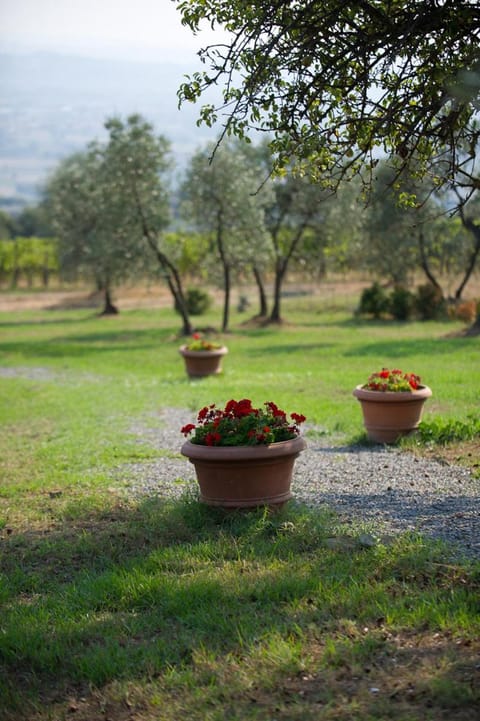 Casa Elisabetta Apartment in Emilia-Romagna