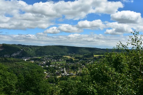 Perle d'Ô Gîte Nature Bien-Être, proche du bord de Meuse Namur et Dinant House in Wallonia, Belgium