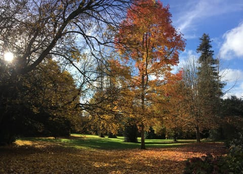 Spring, Day, Natural landscape, Garden, Autumn, Garden view, heating