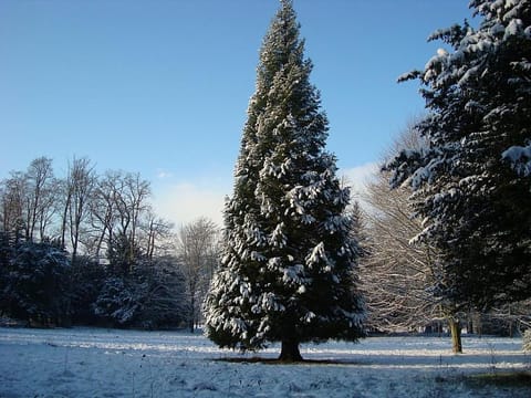 Manoir, Piscine & Parcs Haus in Lisieux