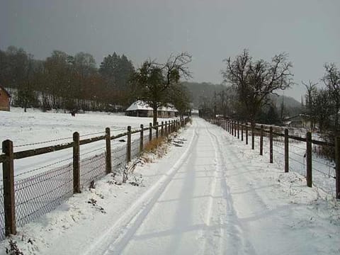 Day, Natural landscape, Winter