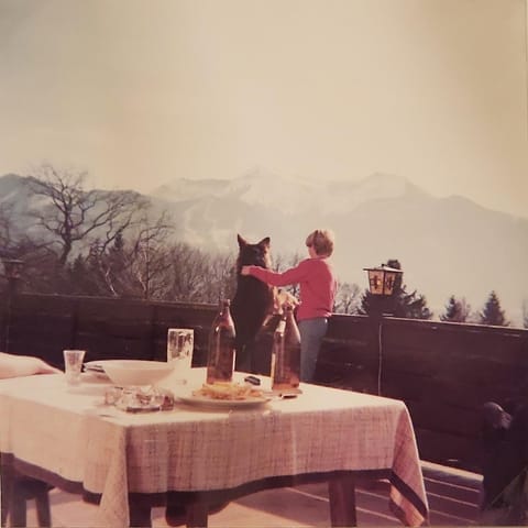 ALPENHOF Westerbuchberg Hotel in Grassau