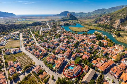 Neighbourhood, Natural landscape, Bird's eye view, Location