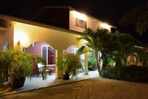 Property building, Night, Garden, Garden view