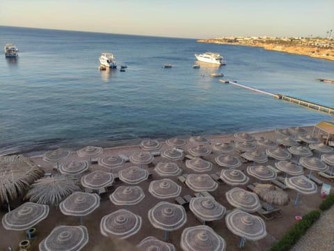 sharks bay oasis Hotel in Sharm El-Sheikh