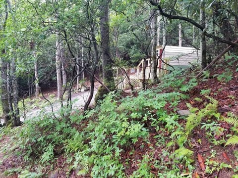 Yogi House Meditation Retreat House in Nantahala