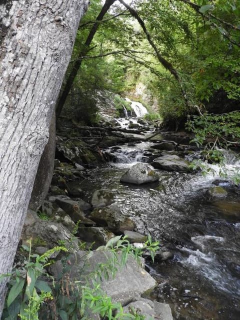 Yogi House Meditation Retreat House in Nantahala