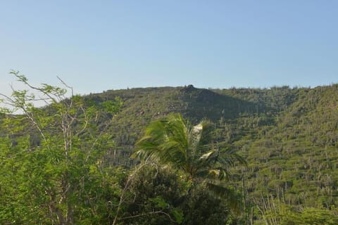 Day, Natural landscape, Mountain view