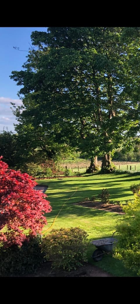 Scott's Barn House in Northern Ireland