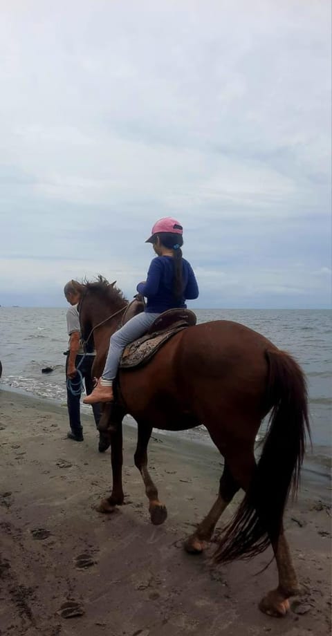 Horse-riding