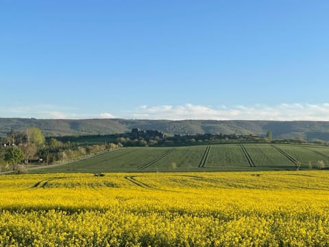 Spring, Natural landscape