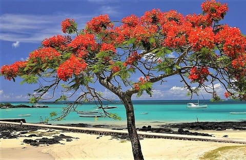 Day, Natural landscape, Beach, Sea view