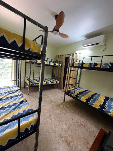 The party hostel Apartment in Canacona