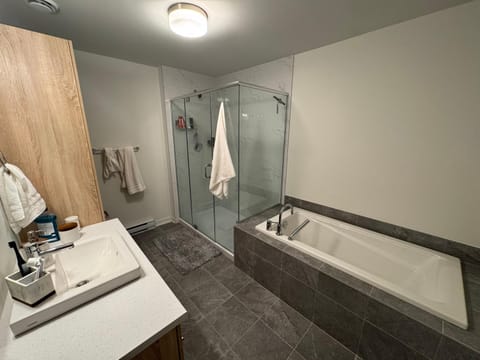 1 bedroom apt Apartamento in Longueuil