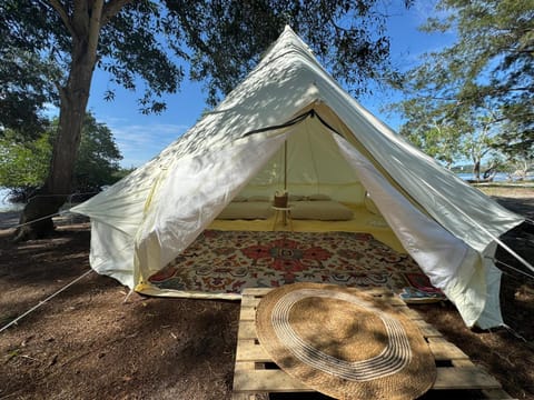 Curve56 Luxury tent in Sabah