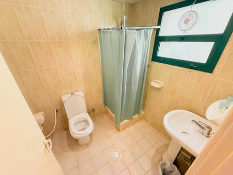 Shower, Toilet, Bathroom, bidet, towels