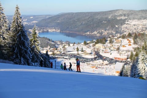 Upmarket chalet close to the slopes Chalet in Gérardmer