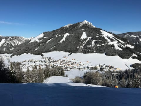 Day, Natural landscape, Winter, Skiing