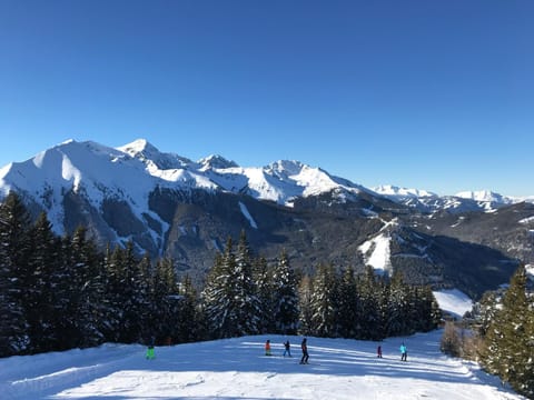 Day, Natural landscape, Winter, Skiing