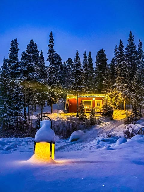 Property building, Night, Natural landscape, Winter