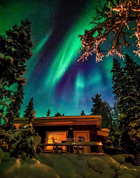 Property building, Night, Natural landscape, Winter