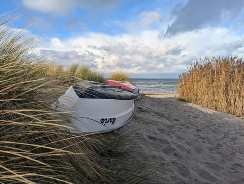 Day, Natural landscape, Activities, Summer, Beach