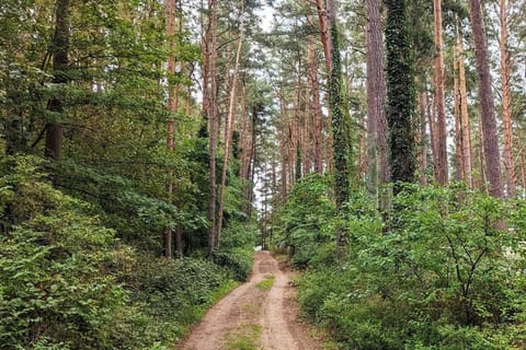 Day, Natural landscape, Hiking, Quiet street view