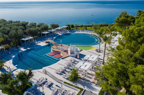 Activities, Bird's eye view, Pool view, Swimming pool