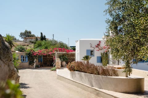 Property building, Spring, Day, Summer, Garden, Garden view