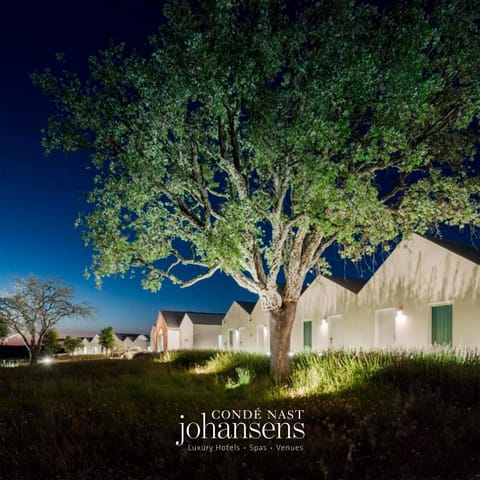 Property building, Night, Natural landscape, Garden, Garden view