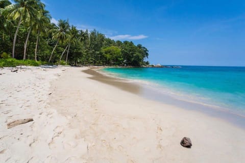 Nearby landmark, Day, Beach