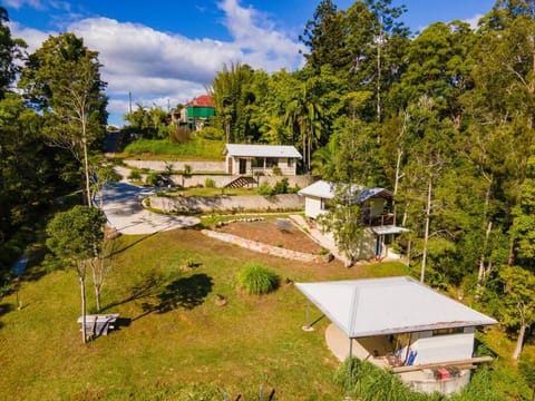 Tree top getaway in town! House in Bellingen